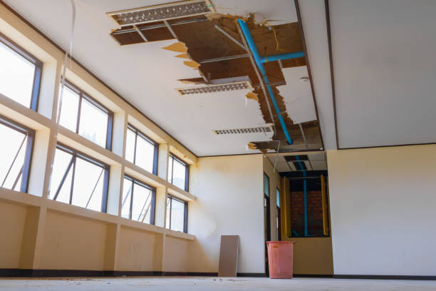 Best Sewage cleanup and water damage restoration  in Monongahela, PA