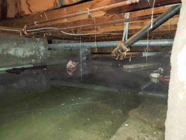Best Ceiling water damage repair  in Monongahela, PA
