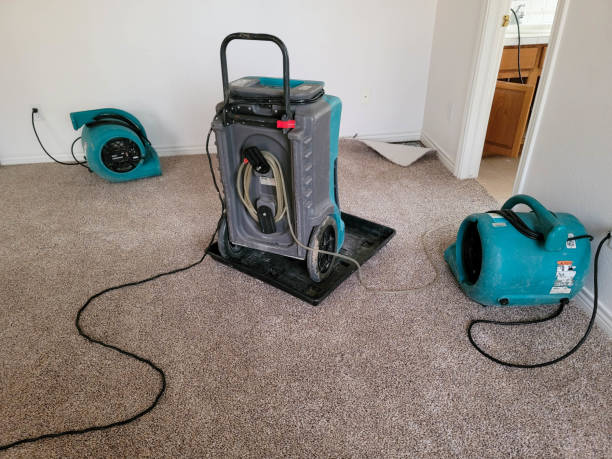 Best Mold removal after water damage  in Monongahela, PA