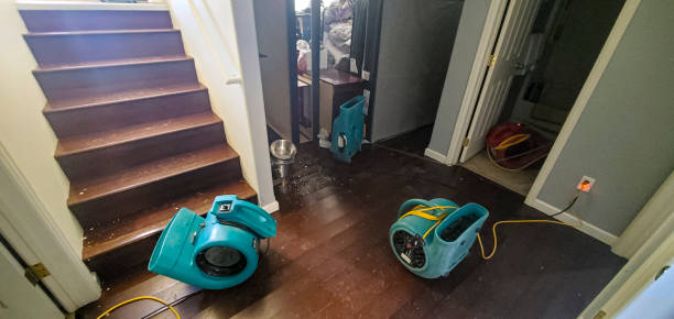 Best Fire Damage Restoration  in Monongahela, PA