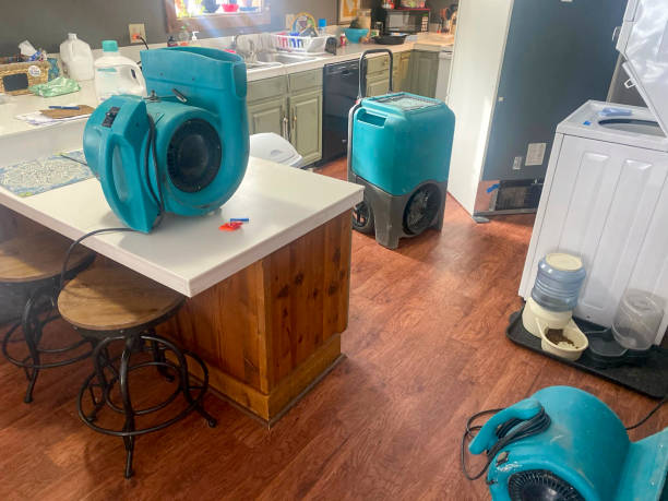 Best 24-hour water damage restoration  in Monongahela, PA