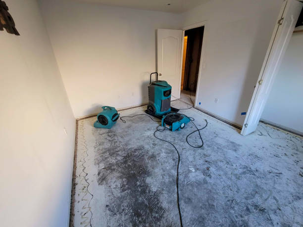 Best Flood damage cleanup  in Monongahela, PA