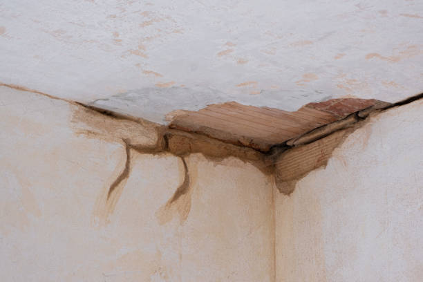 Best Water damage restoration specialists  in Monongahela, PA