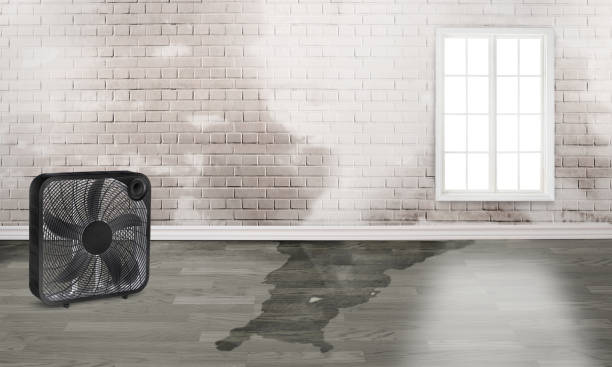Best Ceiling water damage repair  in Monongahela, PA