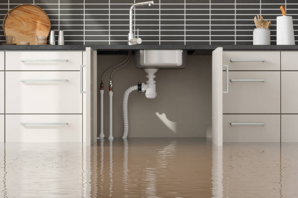 Reliable Monongahela, PA Water damage restoration Solutions