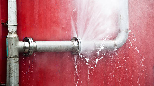 Best Local water damage restoration  in Monongahela, PA