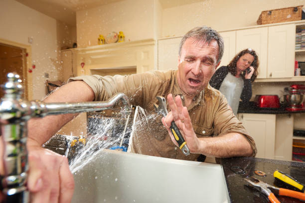 Best Carpet water damage restoration  in Monongahela, PA